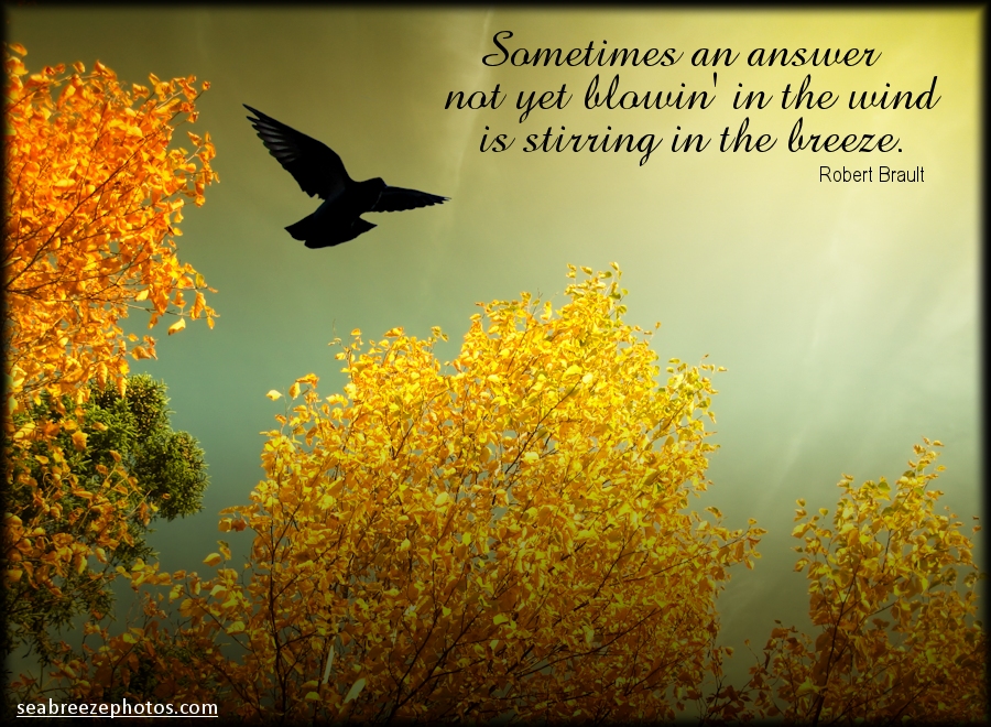 Homeward Bound Quotes QuotesGram homeward-bound-quotes-quotesgram