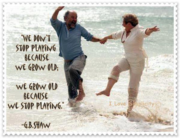 Funny Quotes About Having Fun QuotesGram
