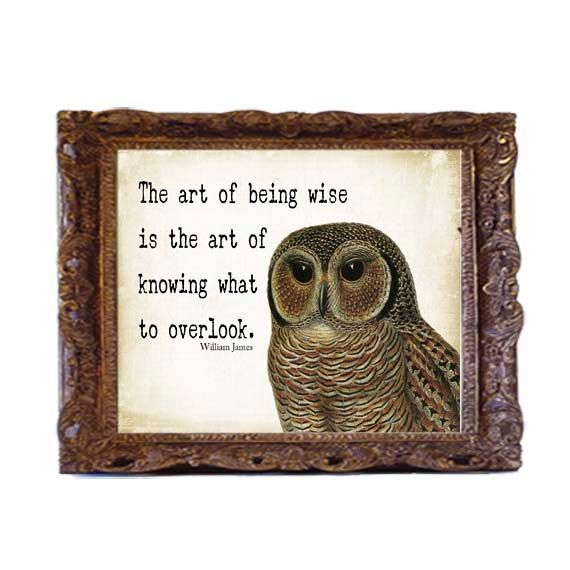 Owl Sayings And Quotes. QuotesGram