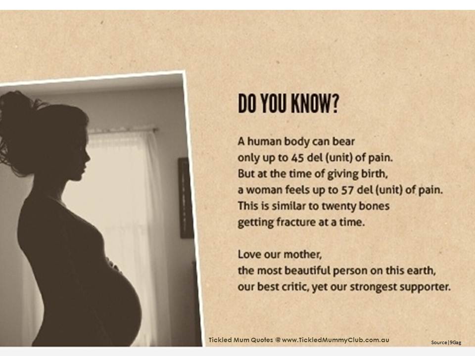 Pregnancy Quotes QuotesGram pregnancy-quotes-quotesgram