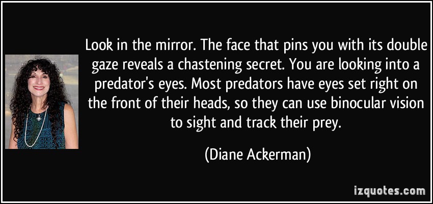Looking Into The Mirror Quotes Quotesgram Looking Into The Mirror Quotes Quotesgram