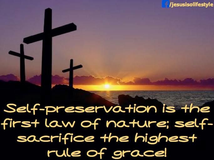 Famous Quotes About Self Sacrifice. QuotesGram