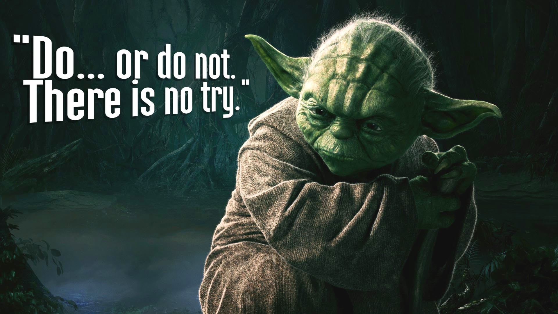 Funny Yoda Quotes Of Wisdom Quotesgram