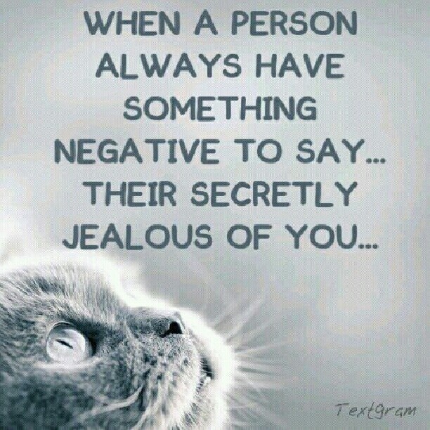 Wise Quotes On Envy. QuotesGram