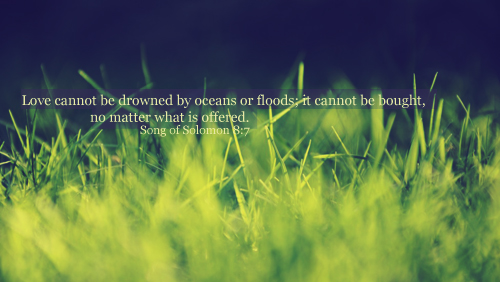Genesis 6:17 - The promise of the flood