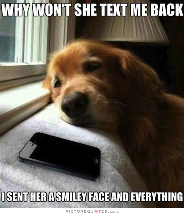 Funny Quotes About Not Texting Back. QuotesGram