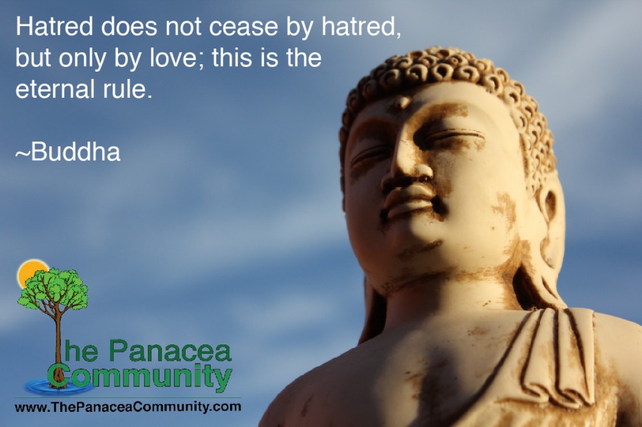 Buddha Animal Quotes. QuotesGram