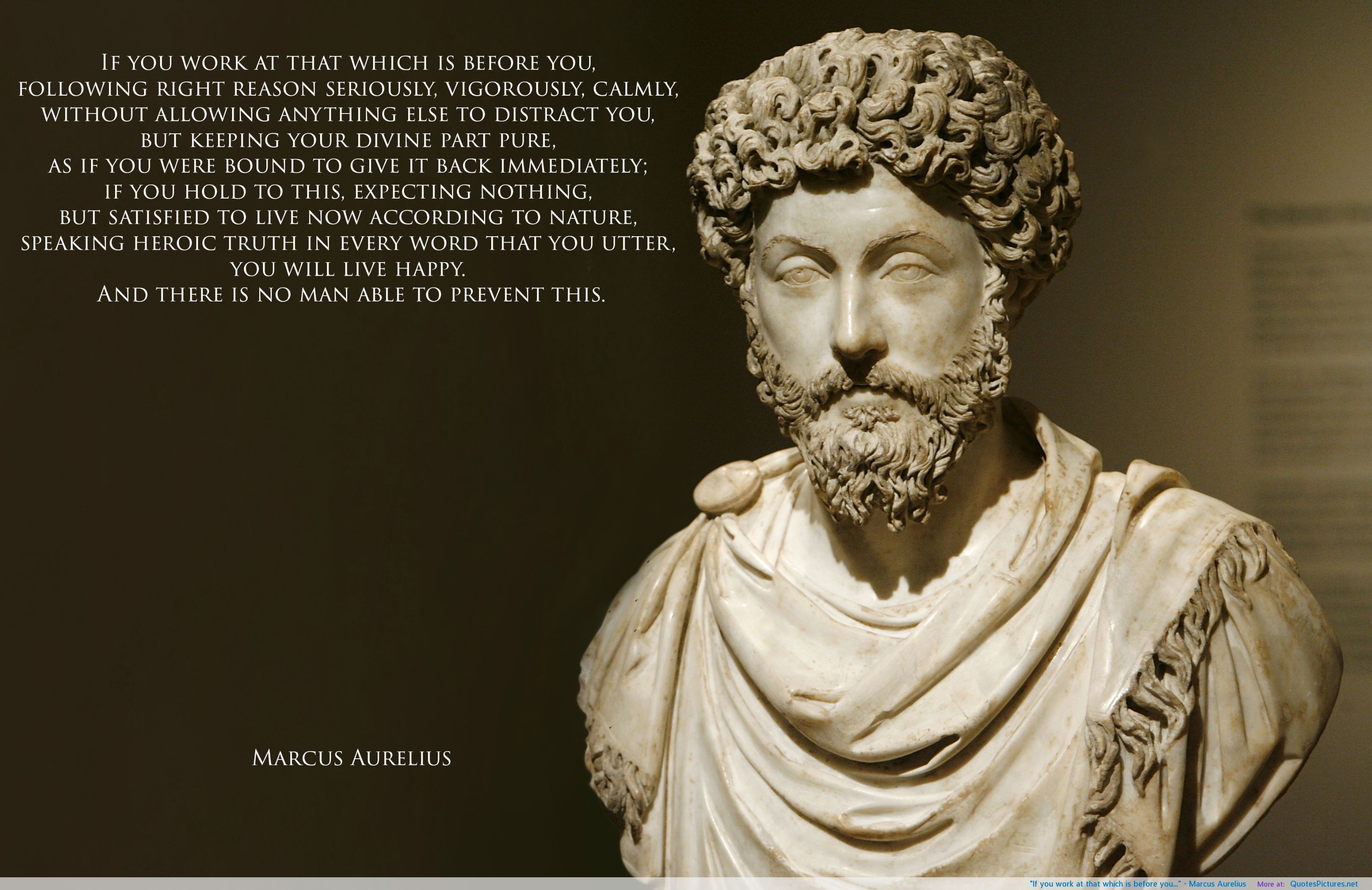 Marcus Aurelius Quotes - Homecare24