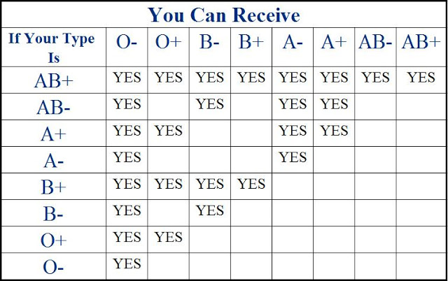 b negative blood type pay b negative blood type pay