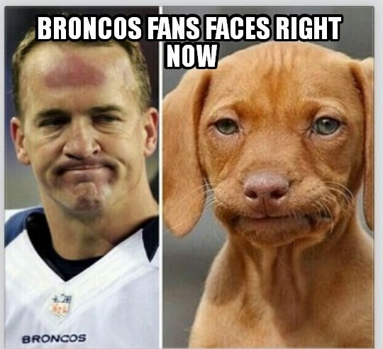 Stupid Sports Quotes QuotesGram Stupid Sports Quotes QuotesGram