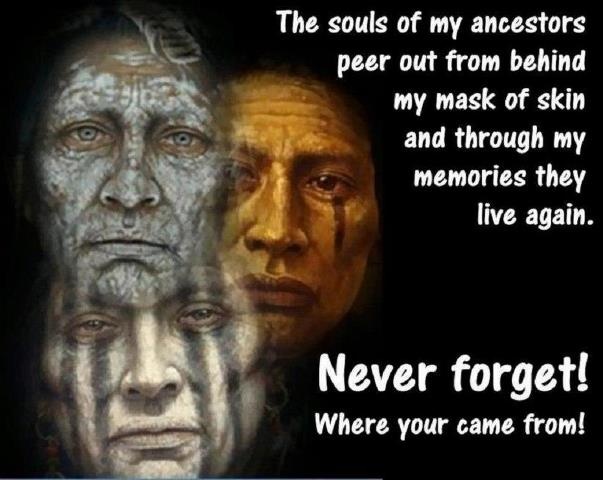 Funny native american quotes quotesgram