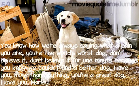 Marley And Me Dog Quotes. Quotesgram