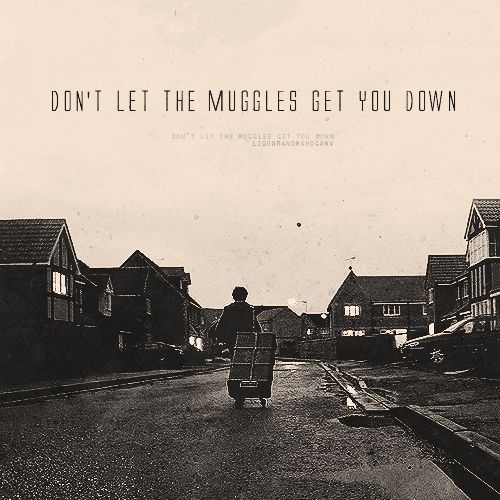 Dont Let Yourself Down Quotes QuotesGram dont-let-yourself-down-quotes-quotesgram