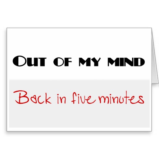 Fun Quotes About Enjoying Life Quotesgram