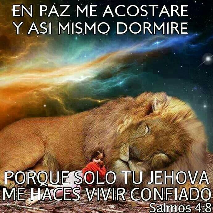Buenas Noches Quotes. QuotesGram Buenas Noches Quotes. QuotesGram