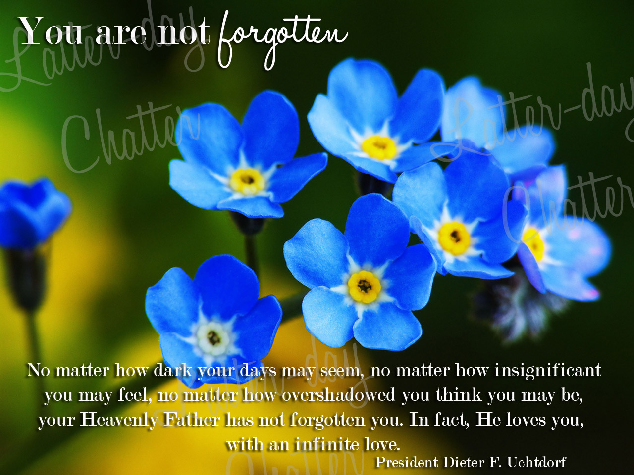 Forget Me Not Quotes And Sayings. QuotesGram