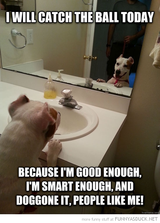 1467347342 funny self motivation dog mirror will catch ball pics