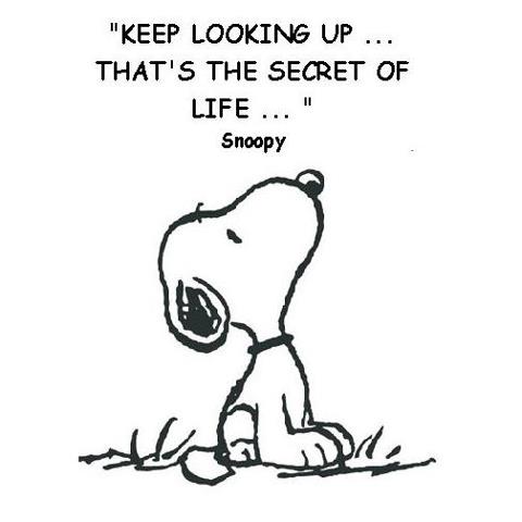 Snoopy Be Yourself Quotes Quotesgram