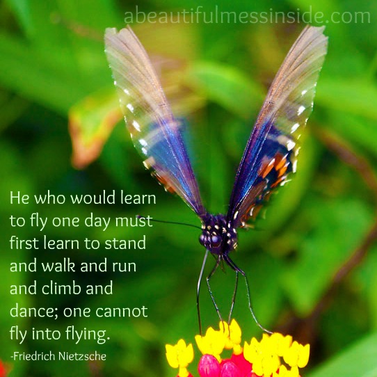 Butterfly Encouragement Quotes. QuotesGram