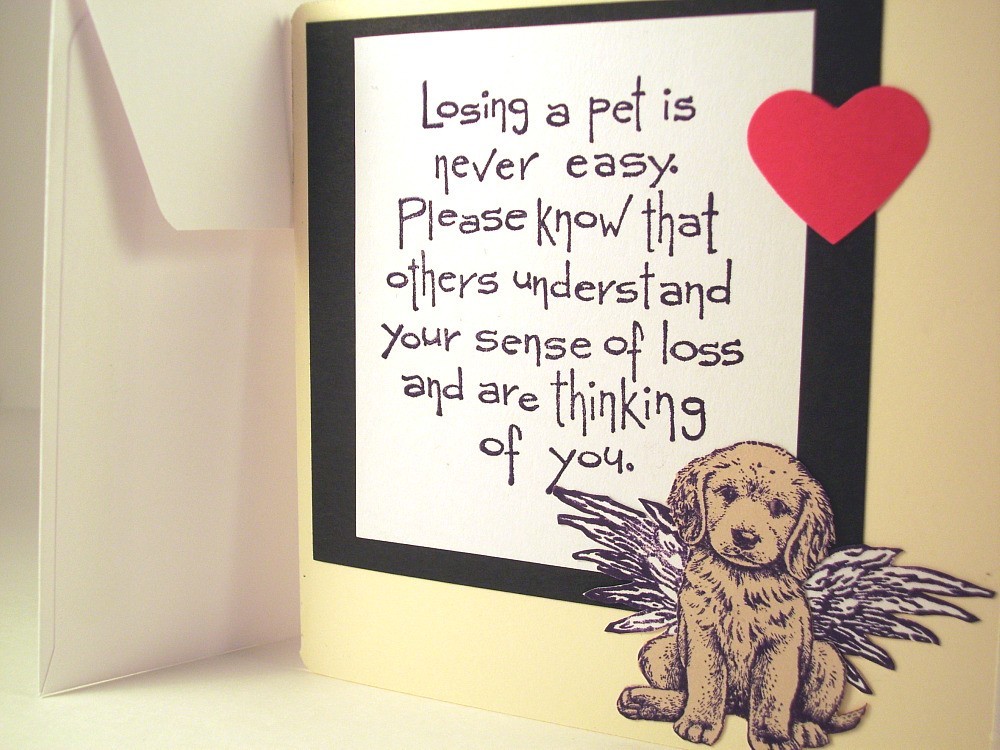 Sympathy Quotes Loss Of Pet QuotesGram