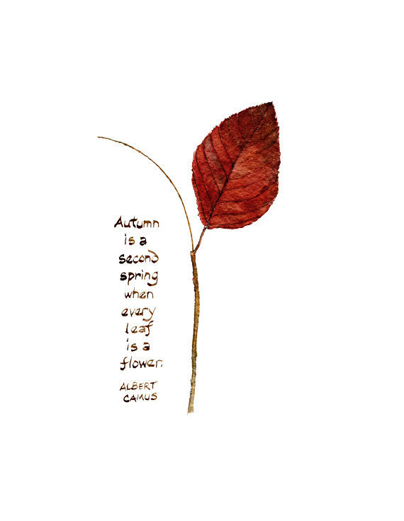 Christian Quotes About Fall