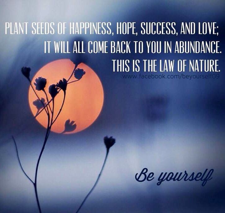 Planting Seeds Quotes Quotesgram Planting Seeds Quotes Quotesgram