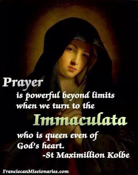 Saint Maximilian Kolbe Quotes. QuotesGram