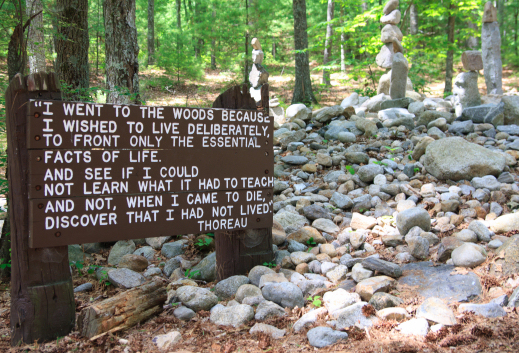 Walden Pond Thoreau Quotes Quotesgram