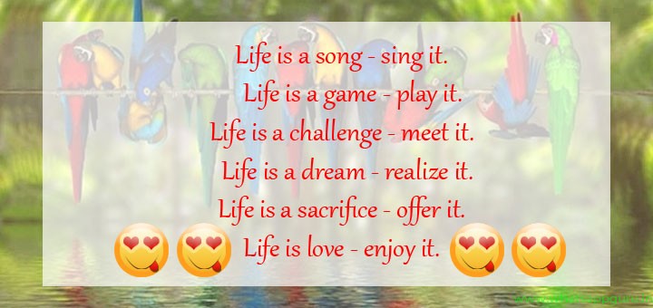Daily Life Quotes About Life. QuotesGram