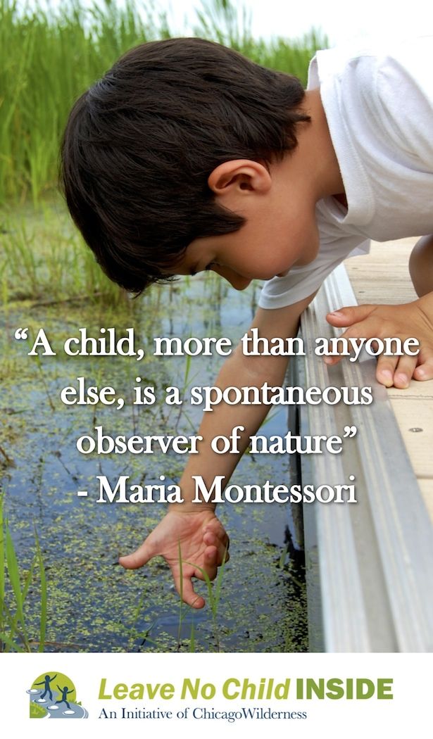 Maria Montessori Quotes On Nature. QuotesGram