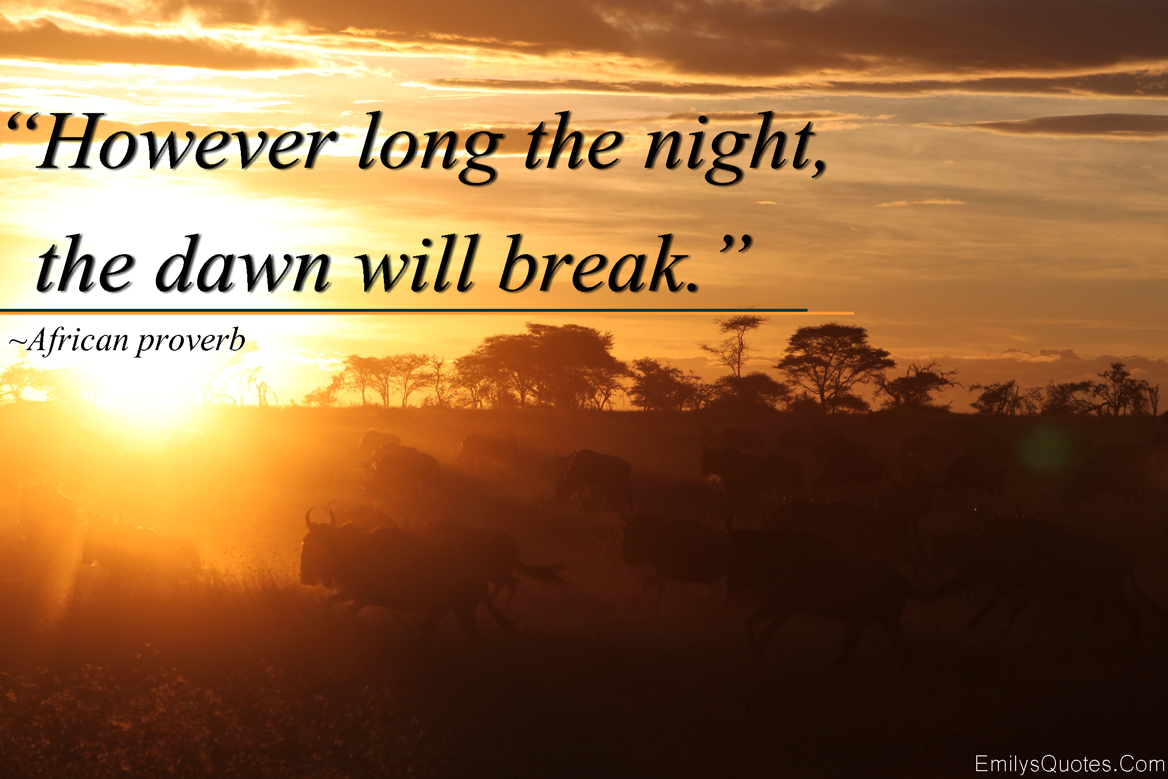 African Proverb Quotes Success. QuotesGram