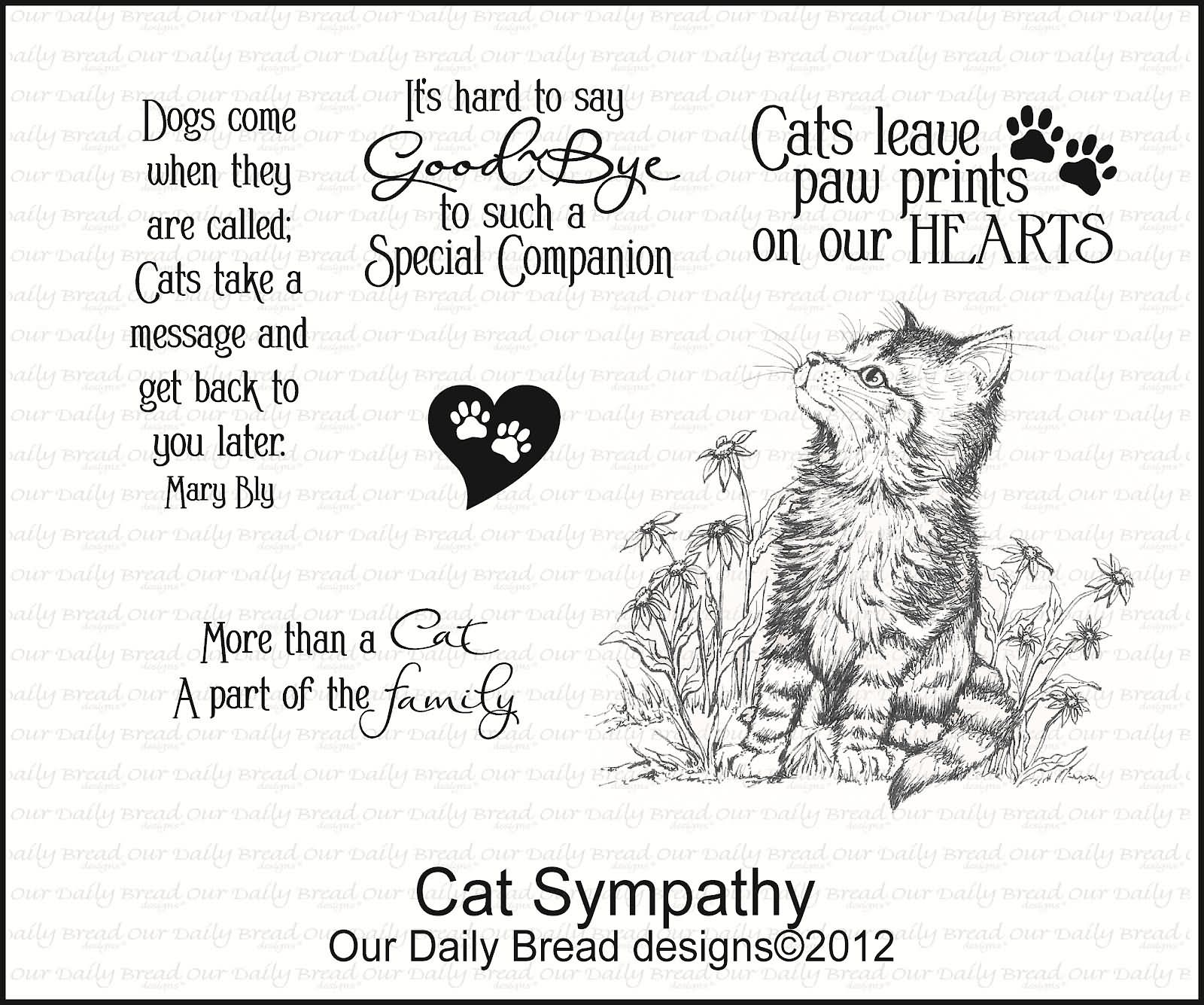 Cat Sympathy Quotes QuotesGram