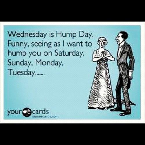 Dirty hump day images