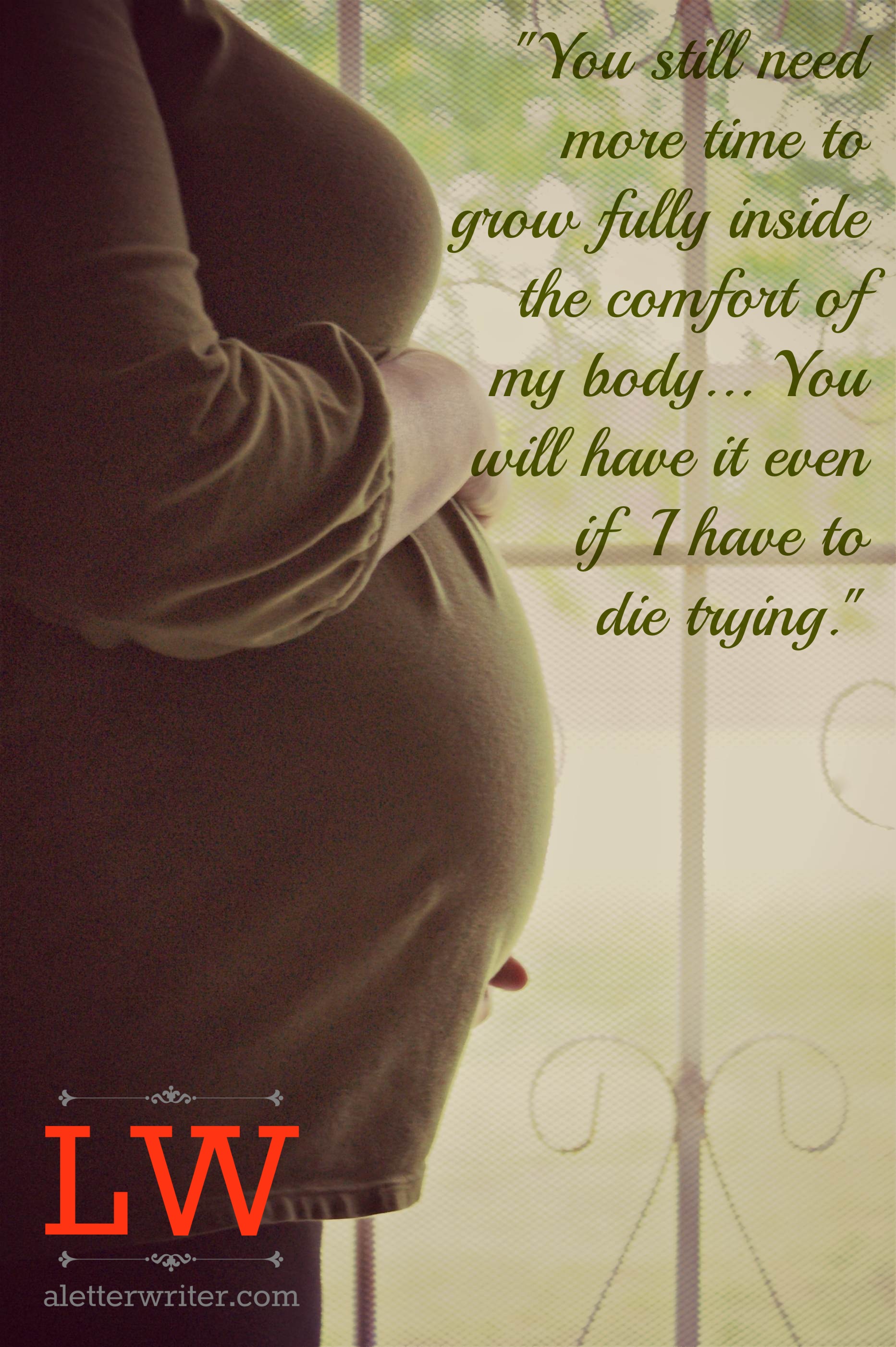 Mother To Unborn Baby Quotes Quotesgram