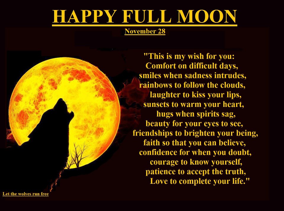 Full Moon Quotes And Sayings. QuotesGram