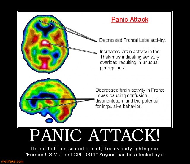 Funny Quotes About Panic Attacks. QuotesGram