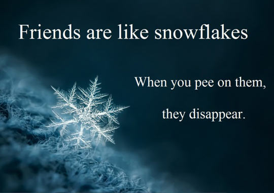 Snowflake Friends Quotes. QuotesGram