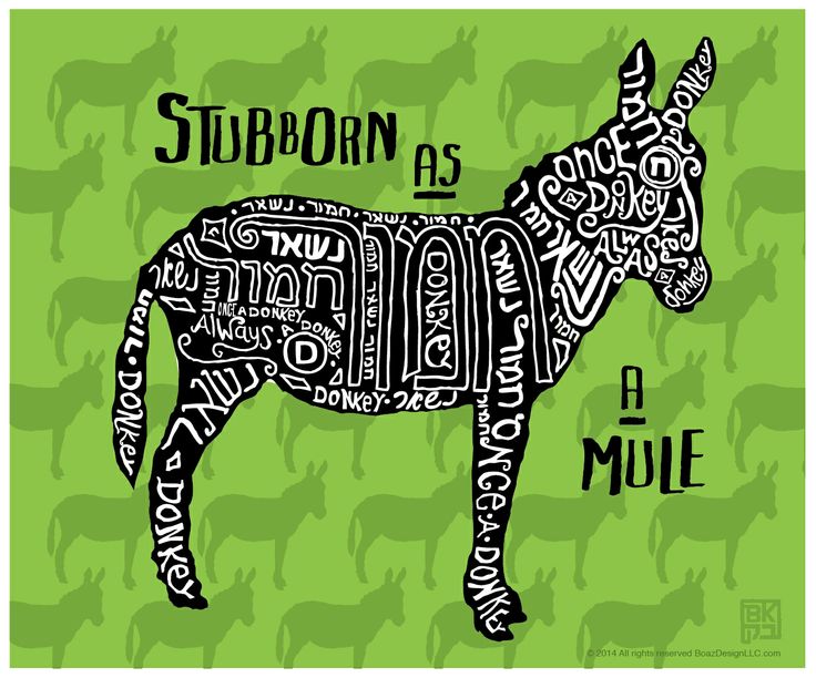 Stubborn As A Mule Quotes. QuotesGram