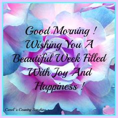Quotes morning sister 25 Cute