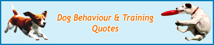 Dog Training Quotes. QuotesGram