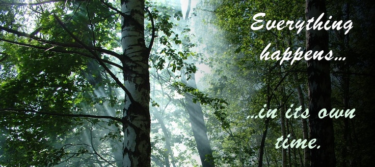 Zen Nature Quotes. QuotesGram