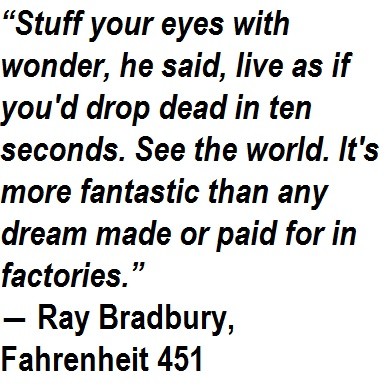 Fahrenheit 451 Quote by Montag