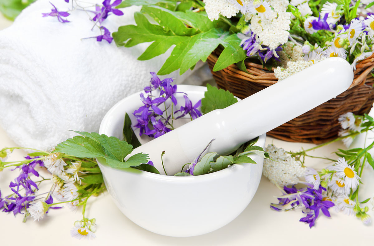 herbal medicine An herb school integrating western herbal medicine and chinese medicine with a focus on clinical skills and medicine making. herbal medicine An herb school integrating western herbal medicine and chinese medicine with a focus on clinical skills and medicine making.