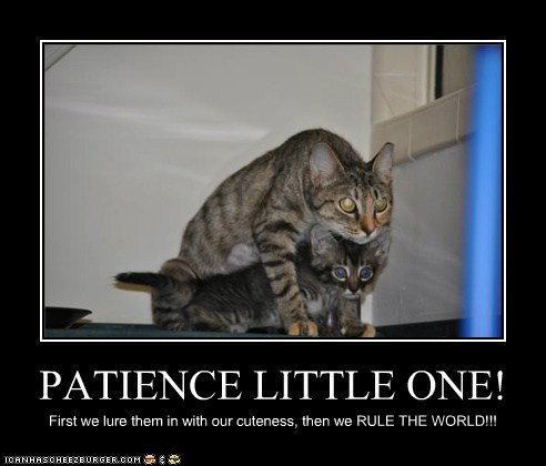 Funny Quotes About Patience. QuotesGram