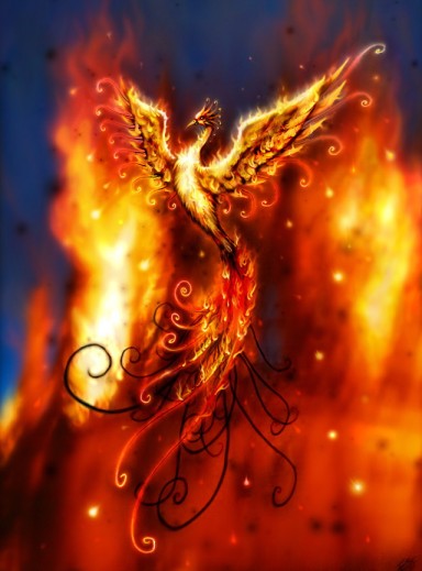 Phoenix Rising Meaning Quotes. QuotesGram