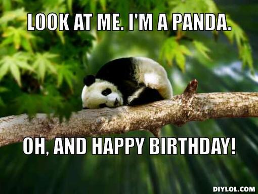 Panda Funny Birthday Quotes. QuotesGram