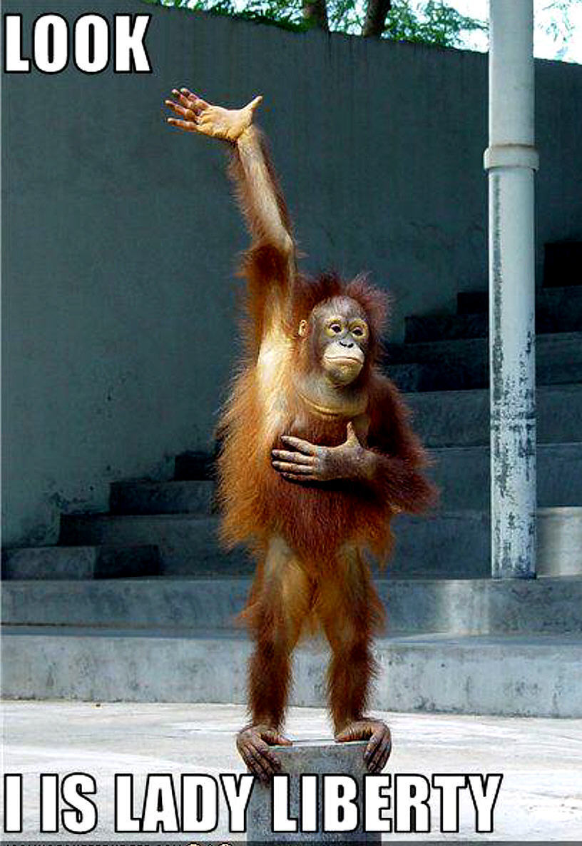 Funny Monkey Quotes QuotesGram