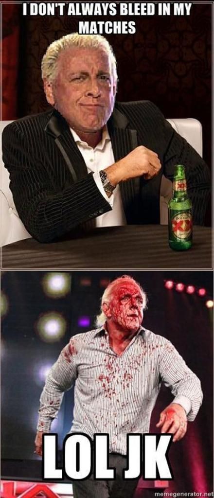 Ric Flair Funny Quotes. QuotesGram