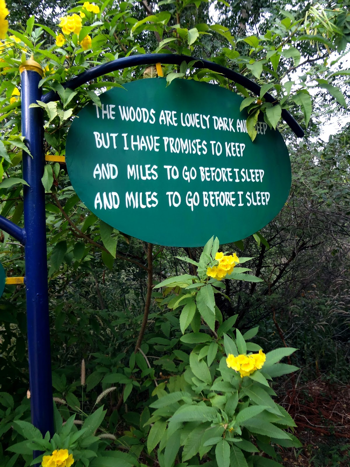 Loving Nature : OPINION: We love nature, so let's spend time with it