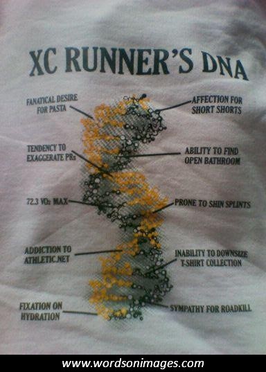 Xc Inspirational Quotes Quotesgram